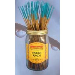 Wild berry incense - Fresh Rain